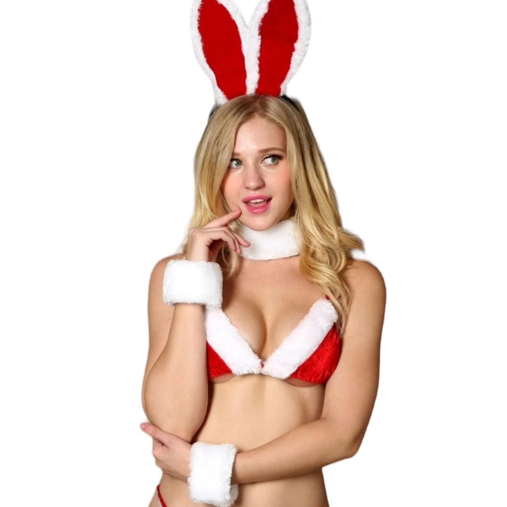 Santa Christmas Red White Lingerie Bunny Ears Bra Panty Costume Set Holidays